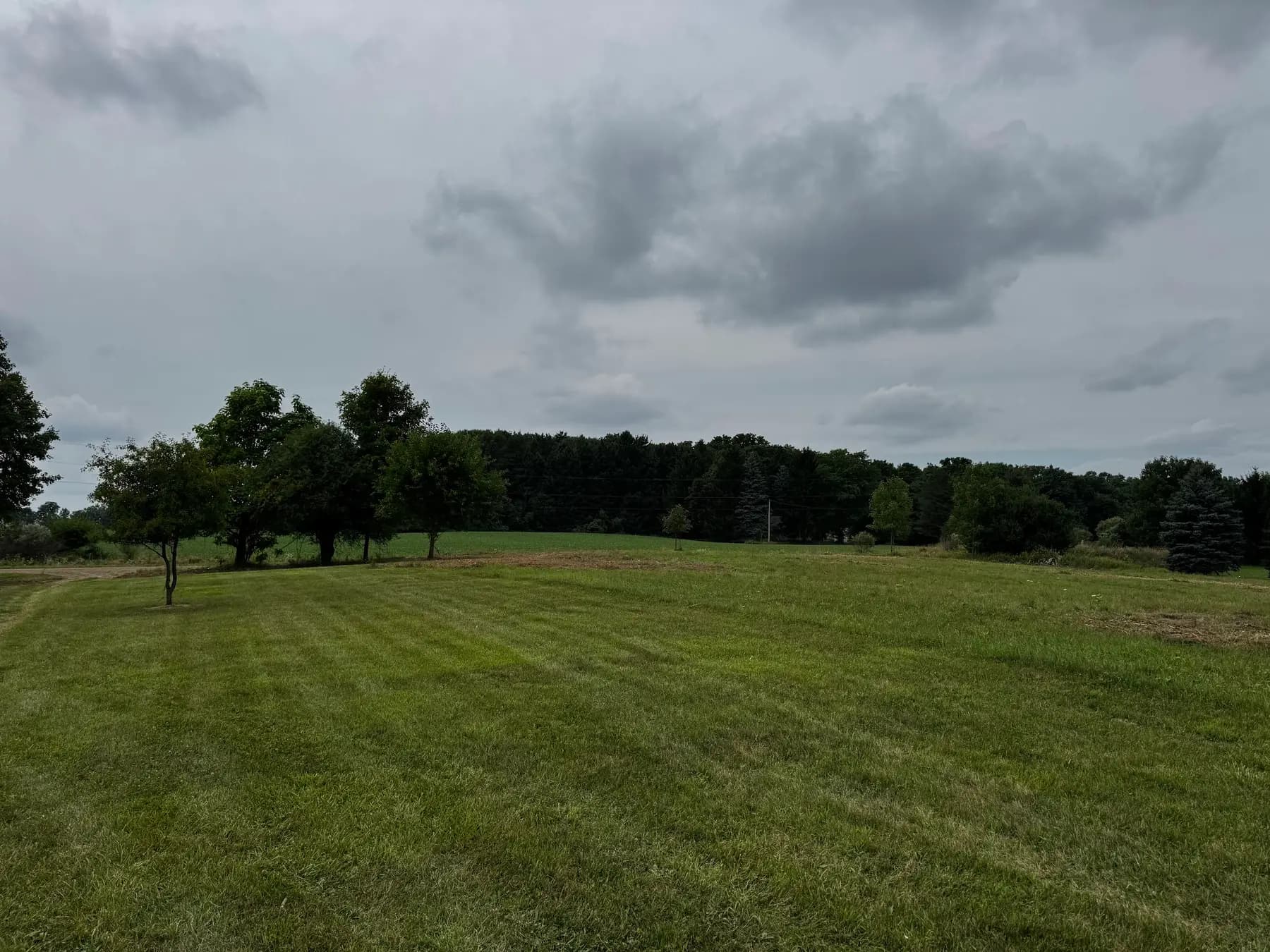 Open field and tree line on a Mid-Michigan property after mowing